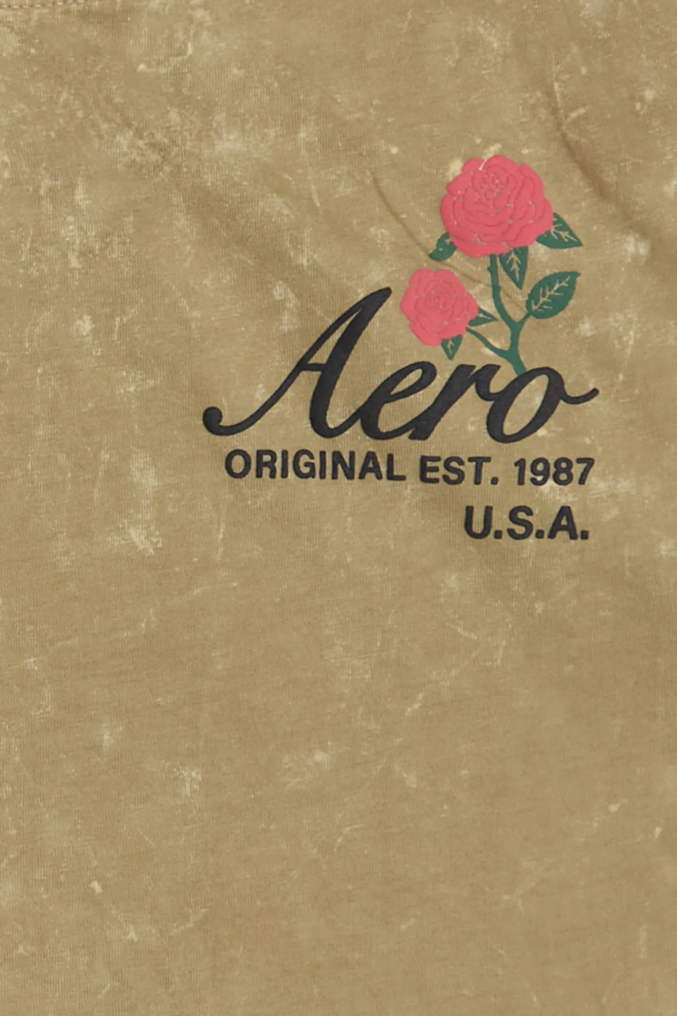 AERO Rose Graphic Acid Wash Tee