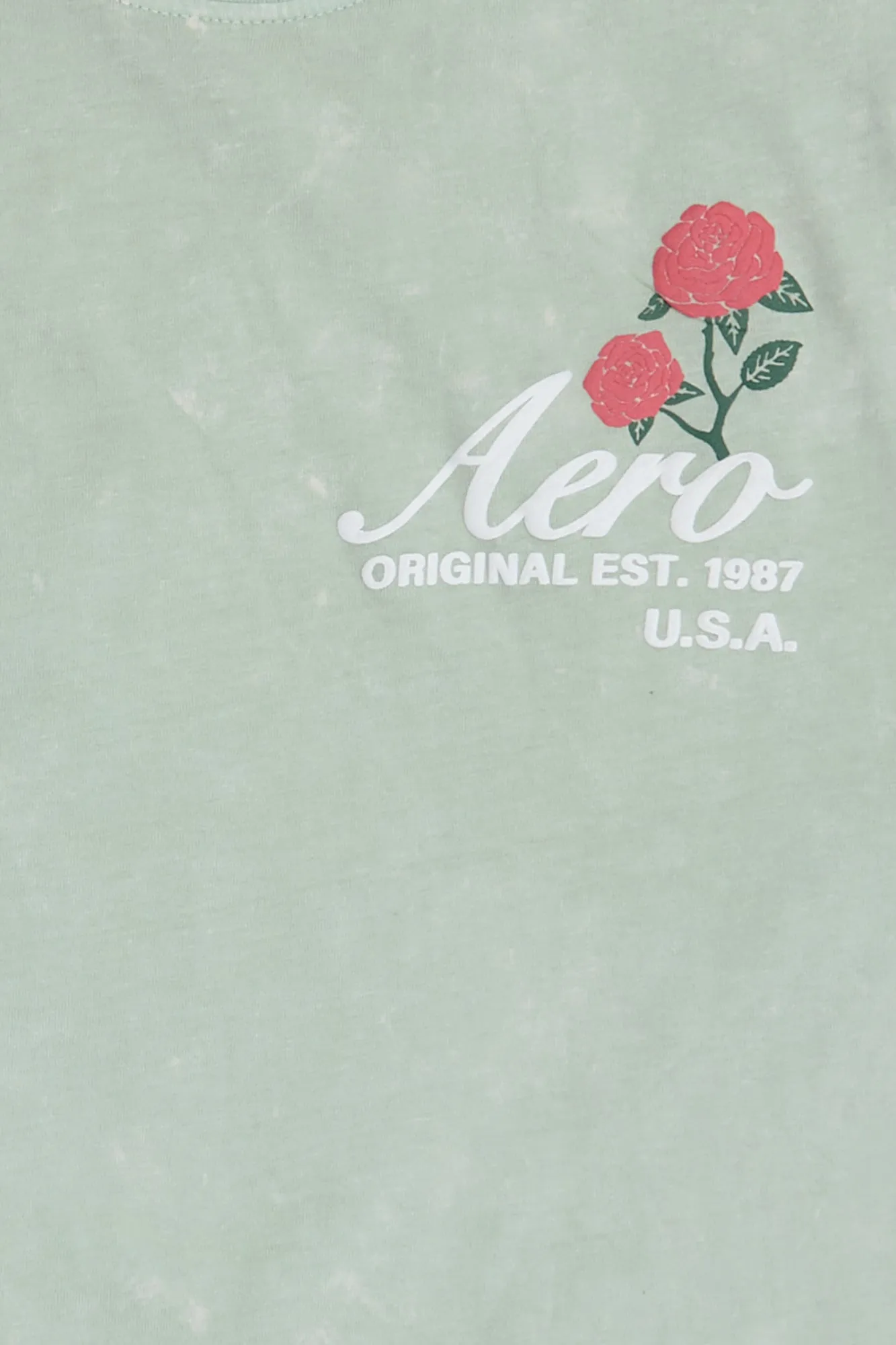 AERO Rose Graphic Acid Wash Tee