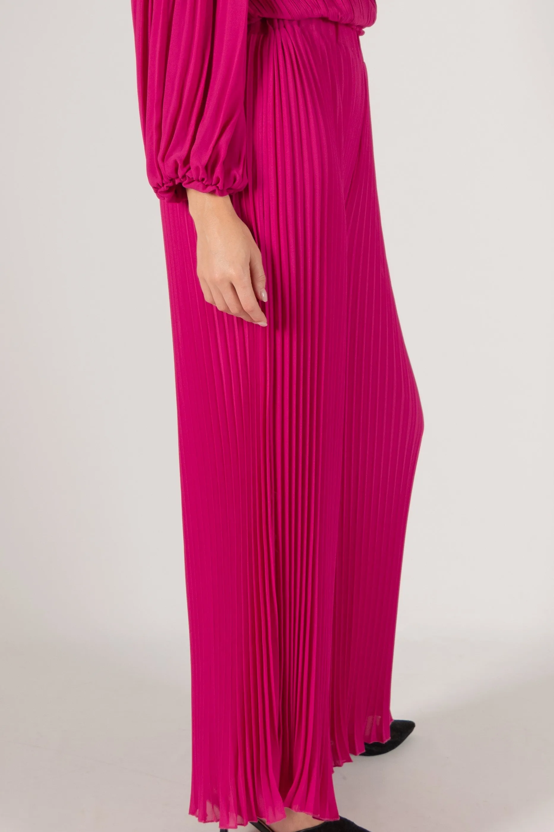 Alma Pleated Chiffon Wide Leg Pants