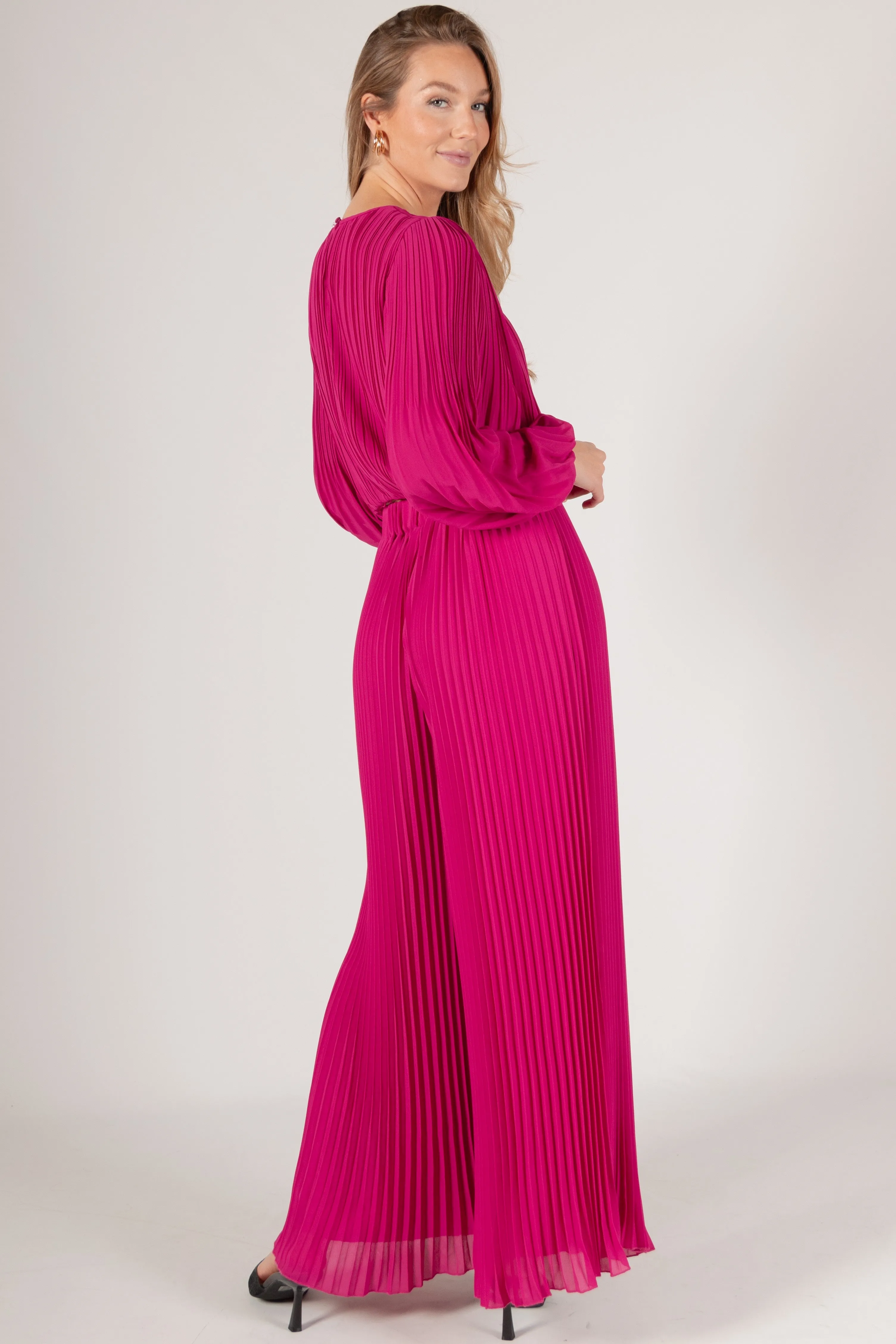 Alma Pleated Chiffon Wide Leg Pants
