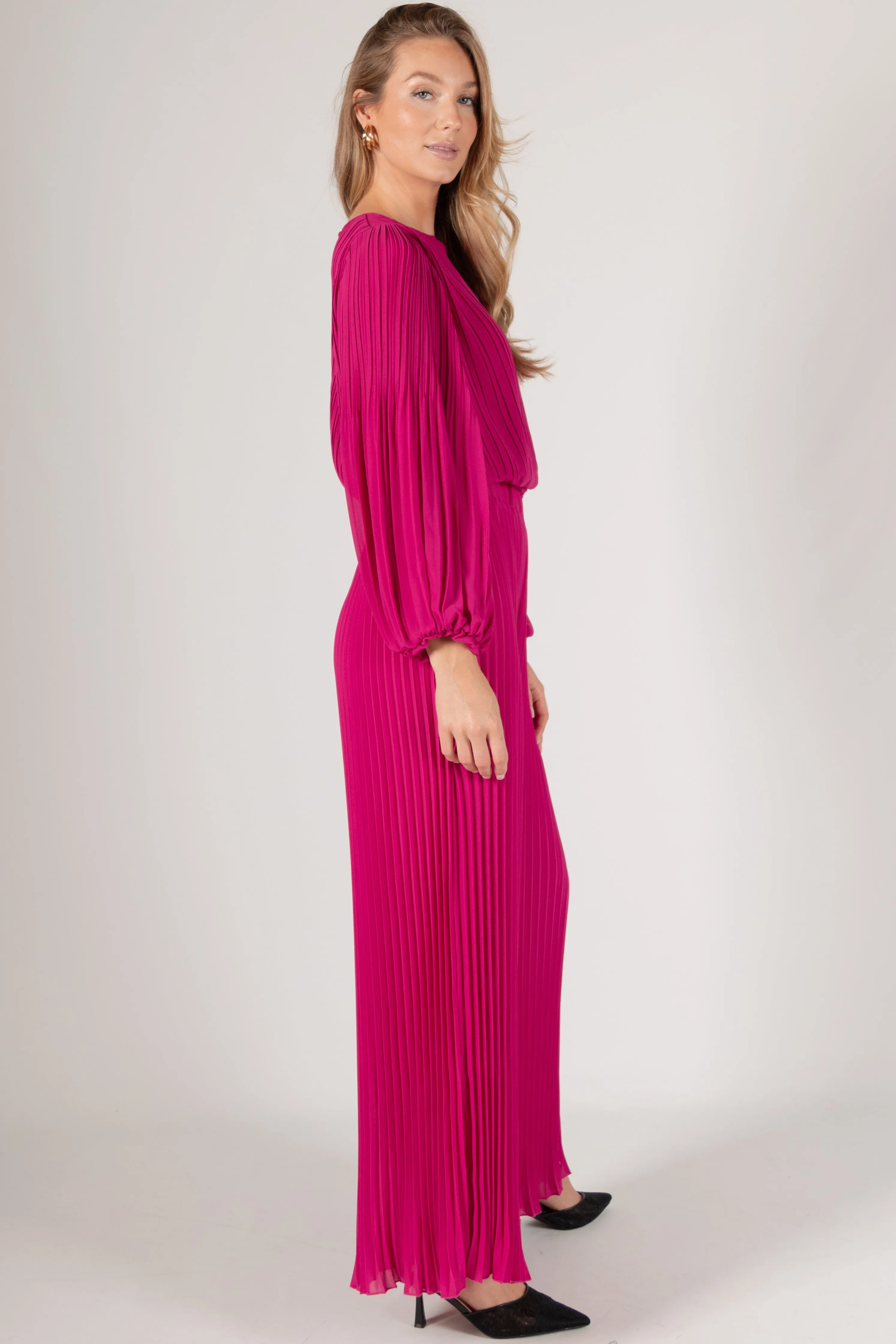 Alma Pleated Chiffon Wide Leg Pants
