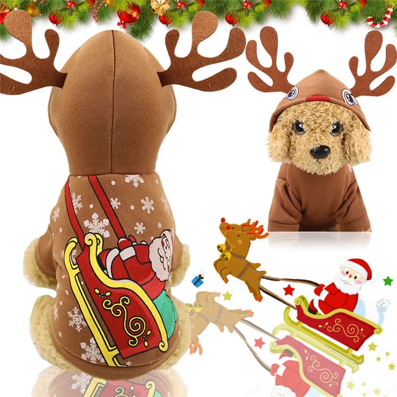 Dog Clothes Halloween Costumes Dogs Cat Hoodies