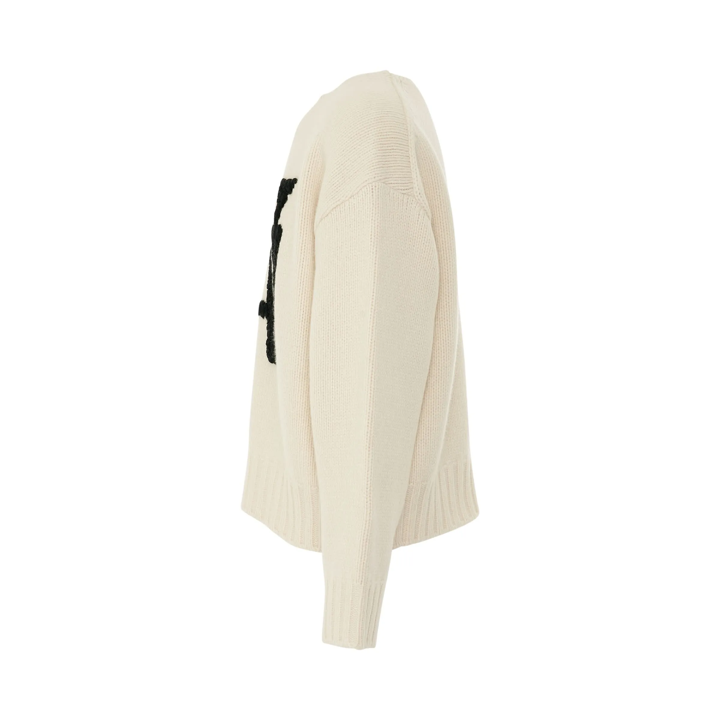 Hand Embroidered Knit sweater in Ivory